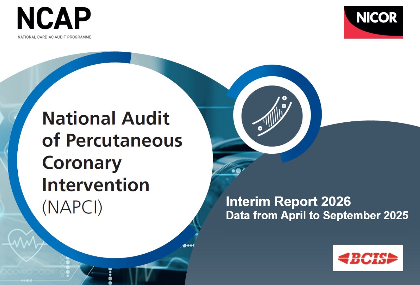 NAPCI Interim 25-26 report front cover